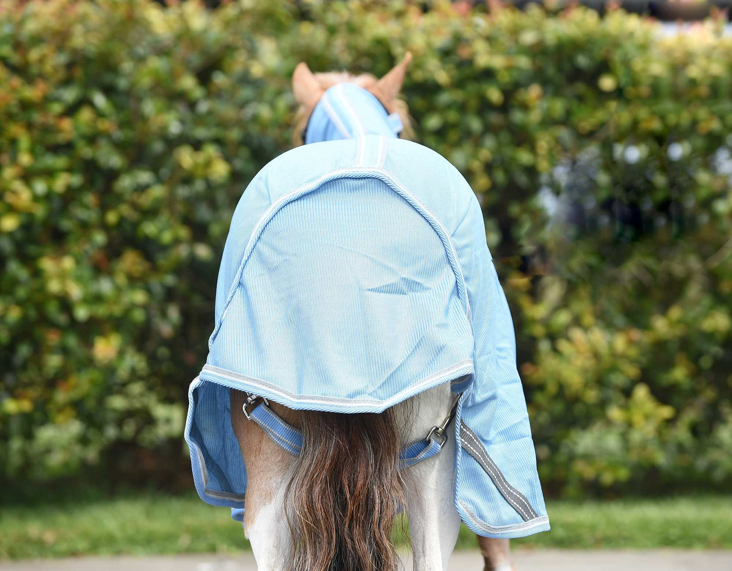 Caribu Mini Euro Mesh Combo Horse Rug