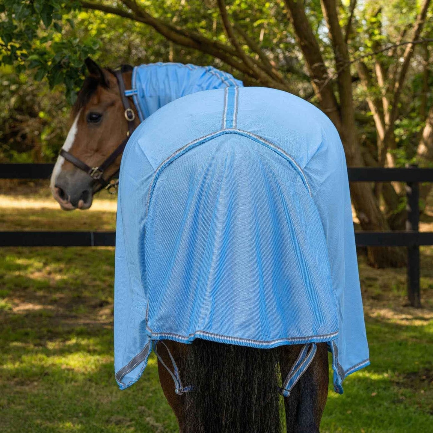 Caribu Euro Mesh Combo XL Gusset Horse Rug
