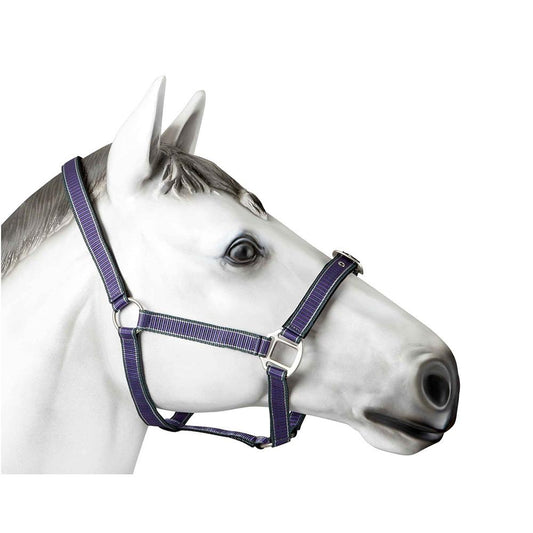 Quick Release Horse Halter