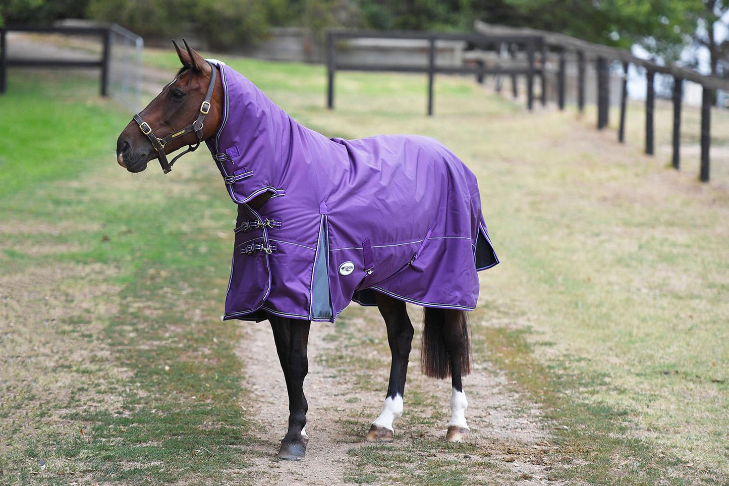 Caribu Colorado Combo Horse Rug 300g