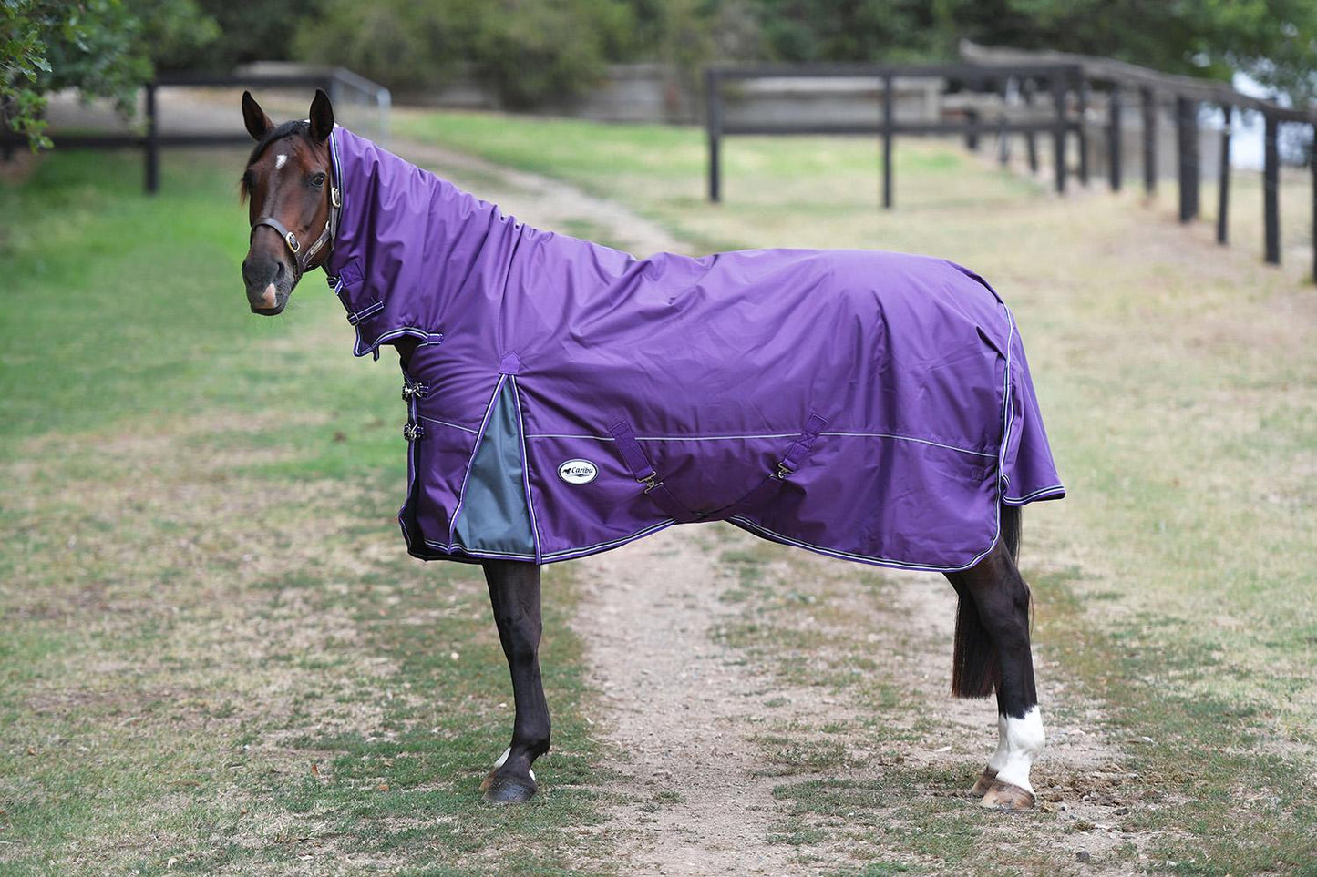 Caribu Colorado Combo Horse Rug 300g