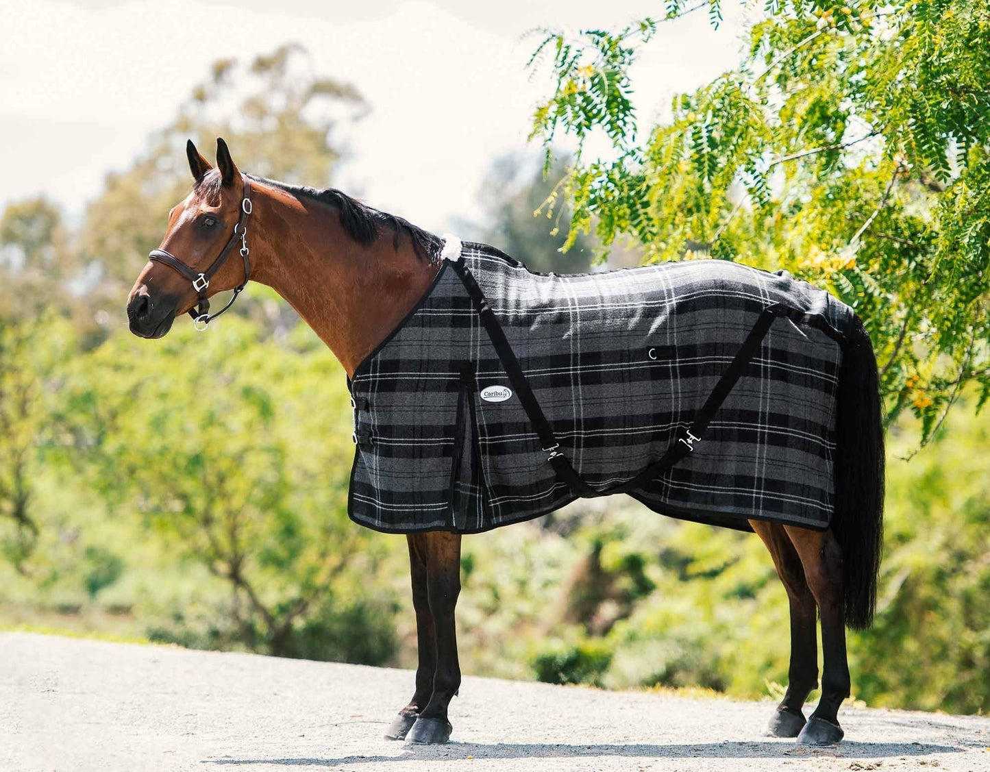 Caribu Wool Horse Rug
