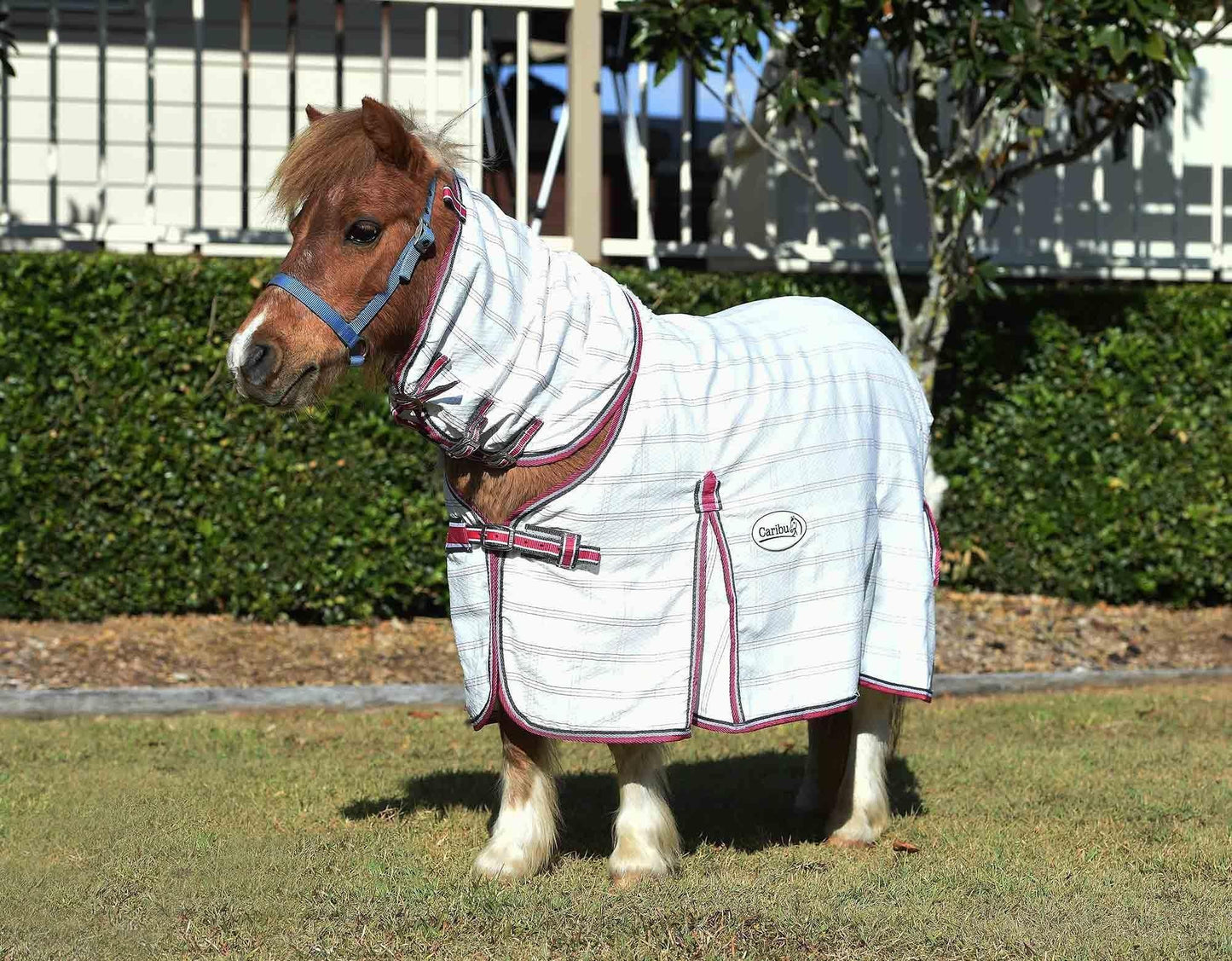 Caribu Mini Ripstop Combo Horse Rug