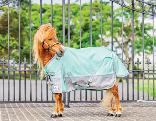 Clearance Caribu Mini Eclipse Detach-a-Neck Horse Rug