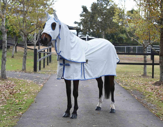 Kingsley Ripstop Hooded Combo Horse Rug