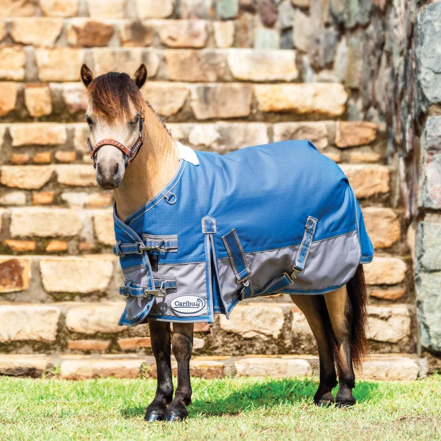 Miniature Alpine Winter Horse Rug 200g