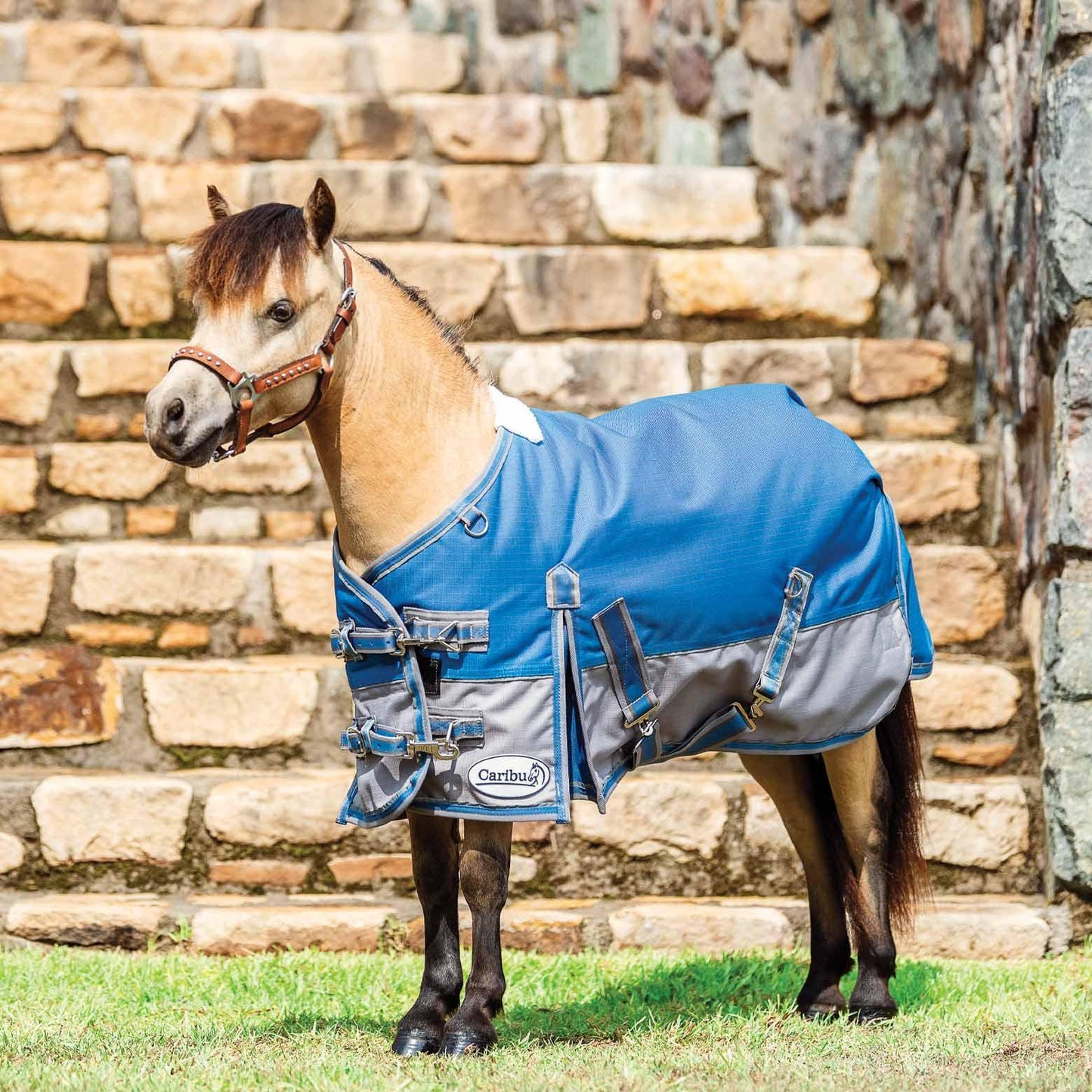 Miniature Alpine Winter Horse Rug 200g