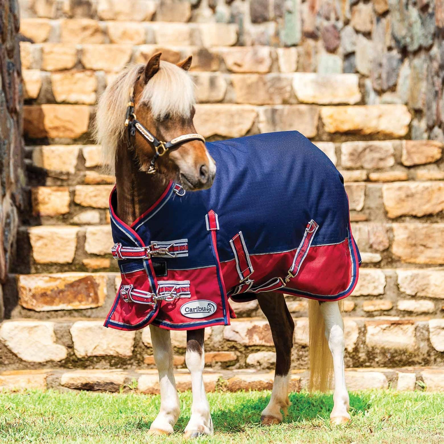 Miniature Alpine Winter Horse Rug 200g
