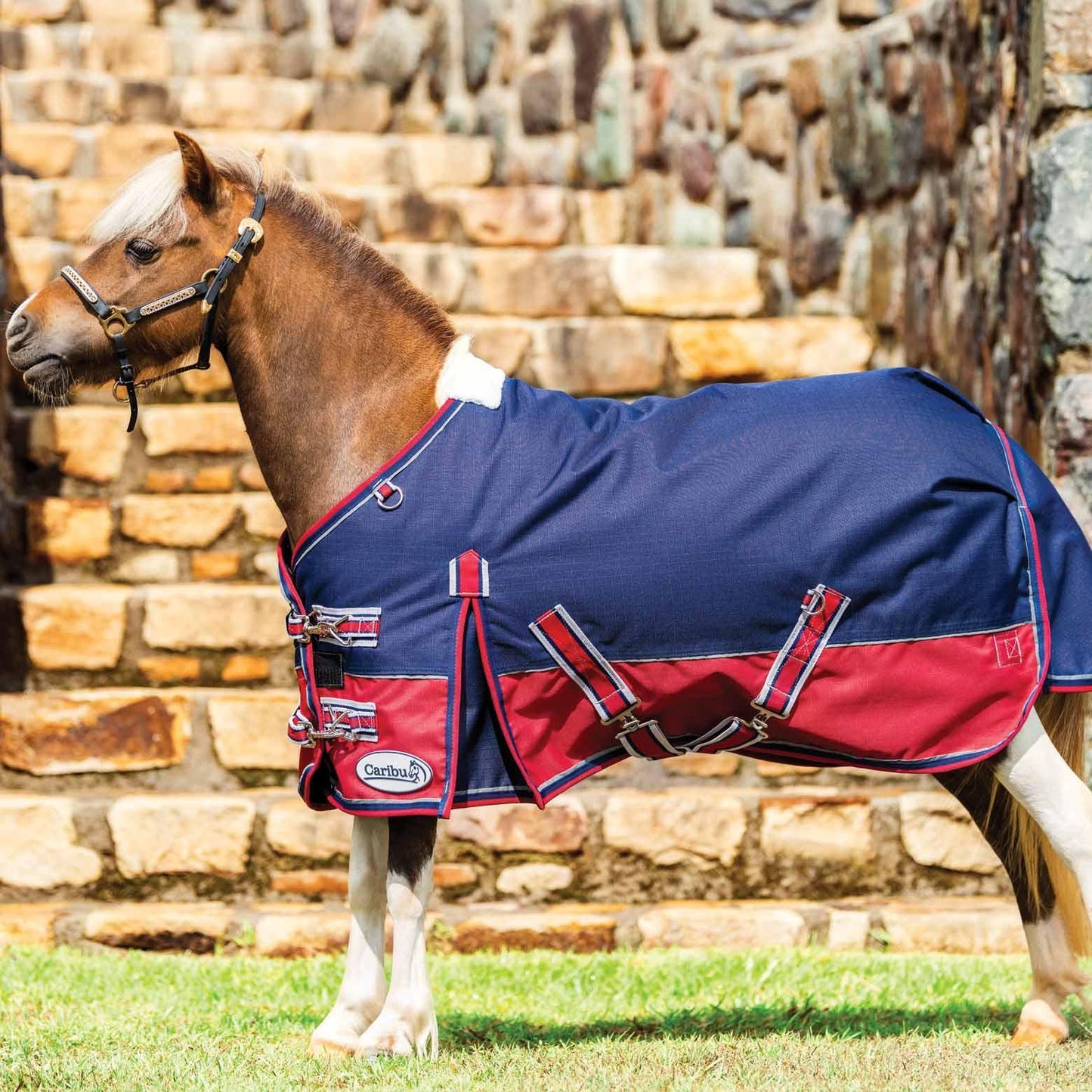Miniature Alpine Winter Horse Rug 200g