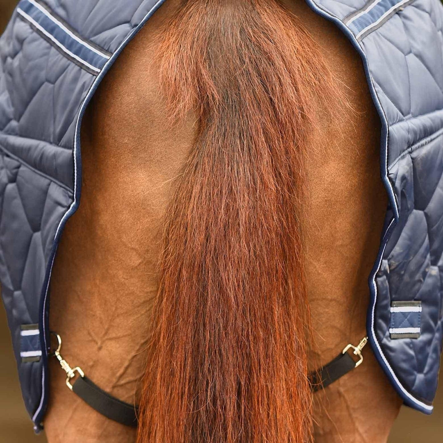 Caribu Quilted Stable Horse Rug 250g