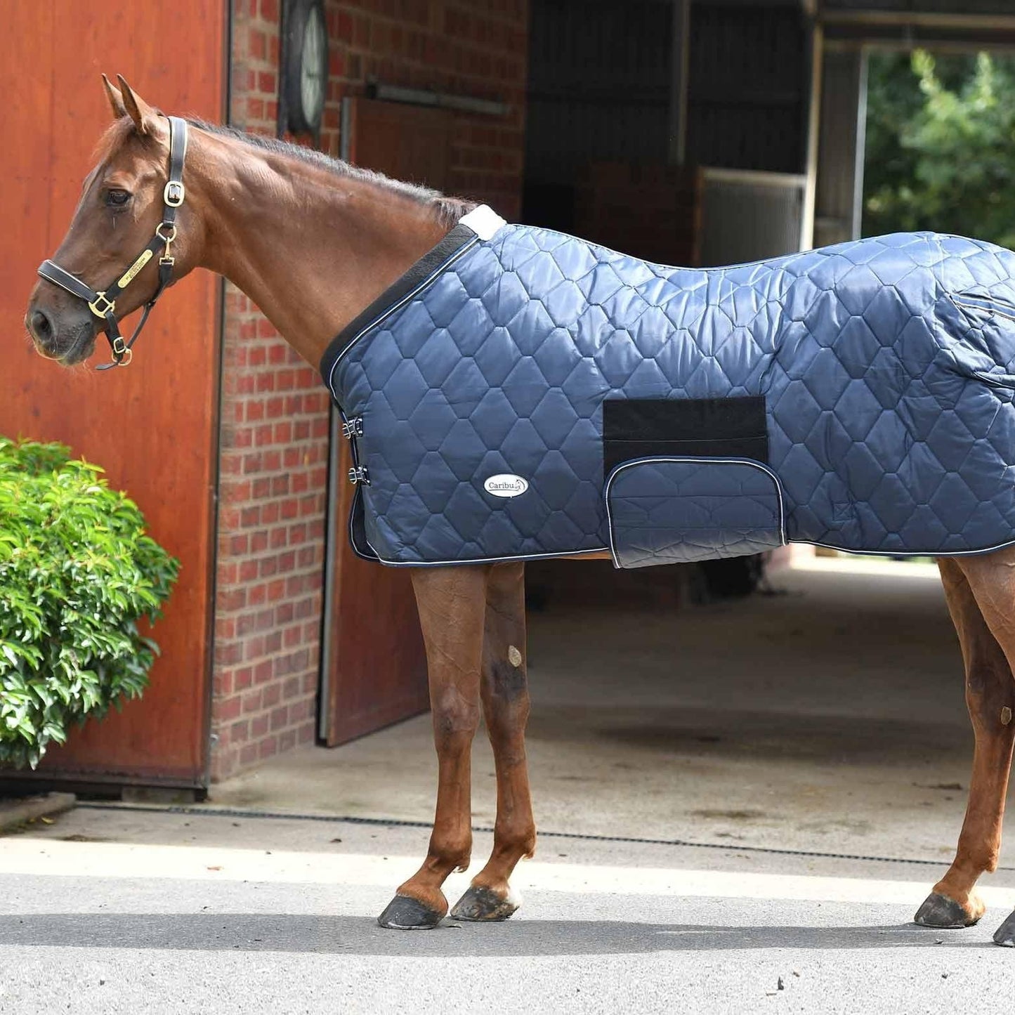 Caribu Quilted Stable Horse Rug 250g