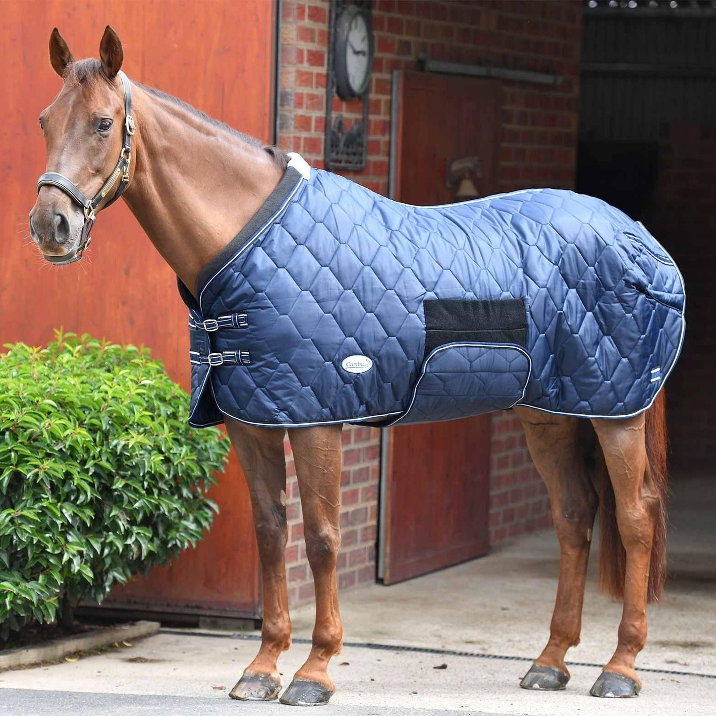 Caribu Quilted Stable Horse Rug 250g