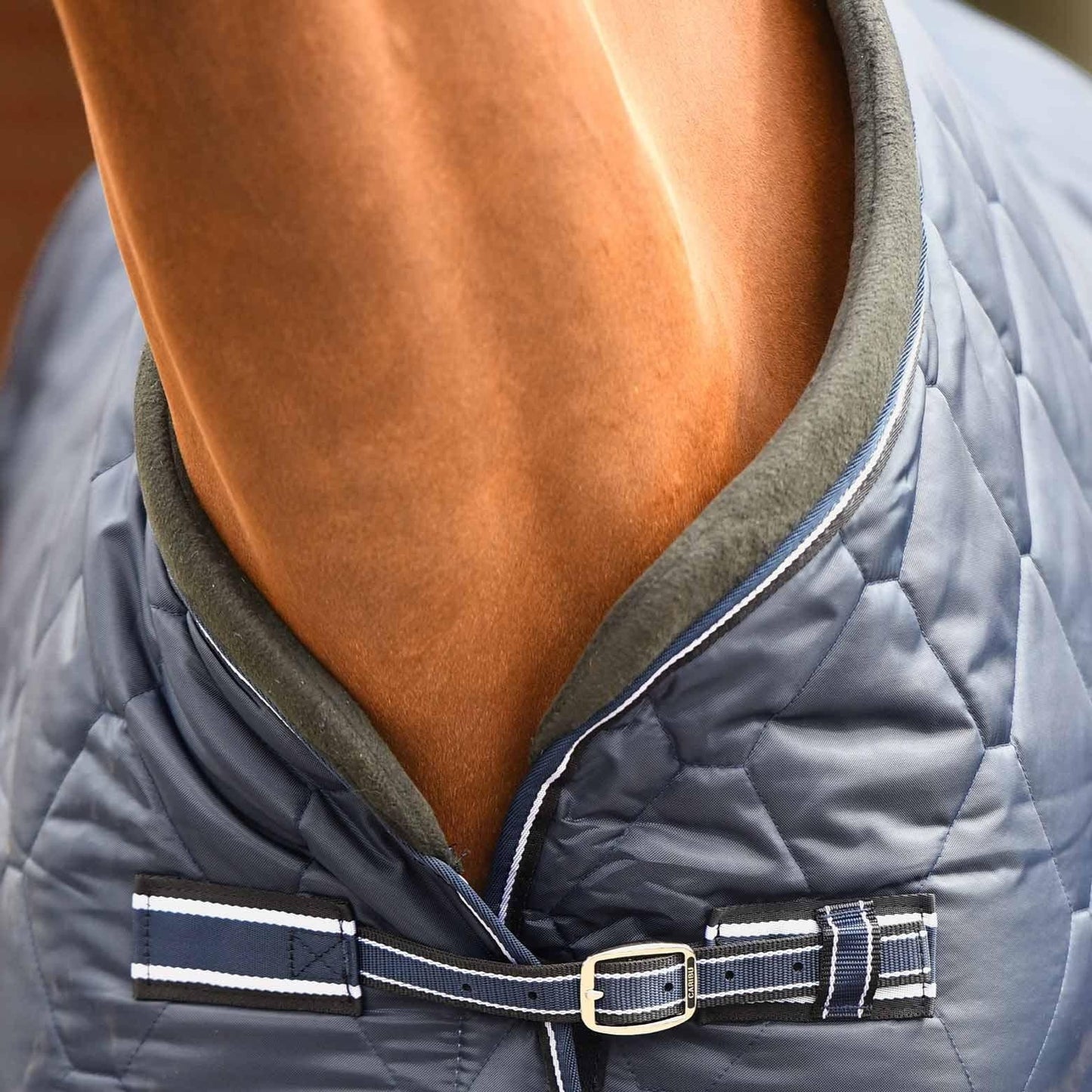 Caribu Quilted Stable Horse Rug 250g