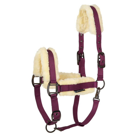 Clearance Fleece Lined Horse Halter & Lead Set