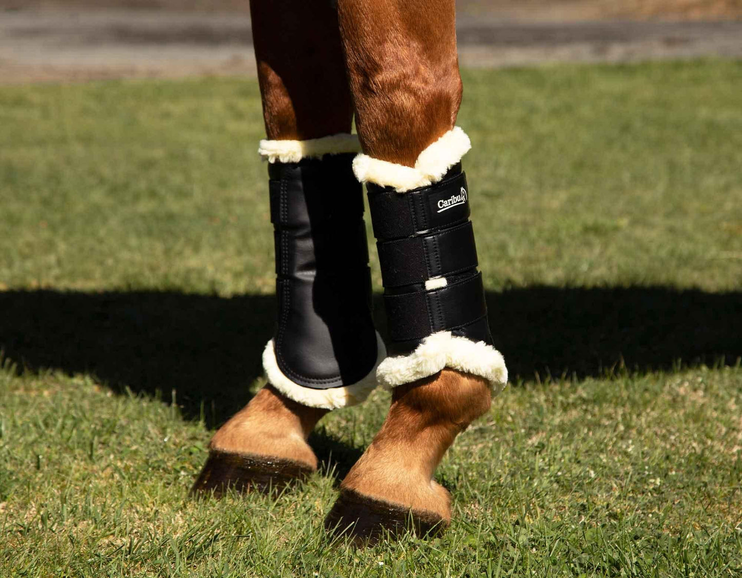 Caribu Fleece-Lined Brushing Horse Boots