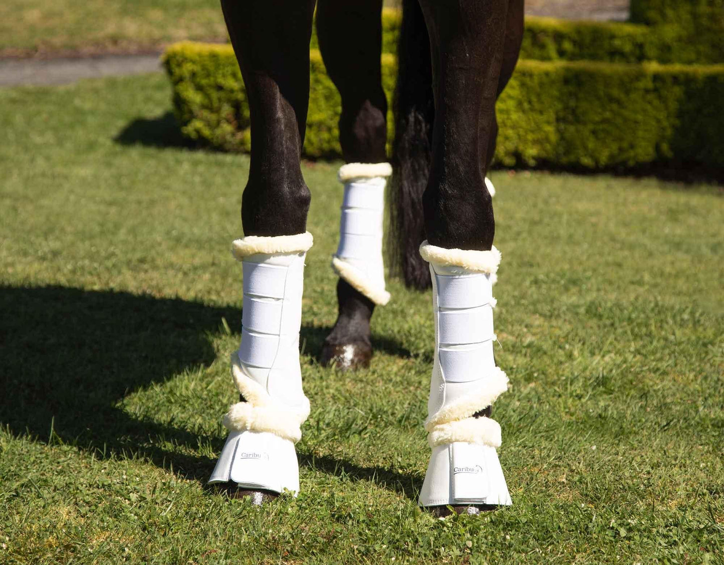 Caribu Fleece-Lined Brushing Horse Boots