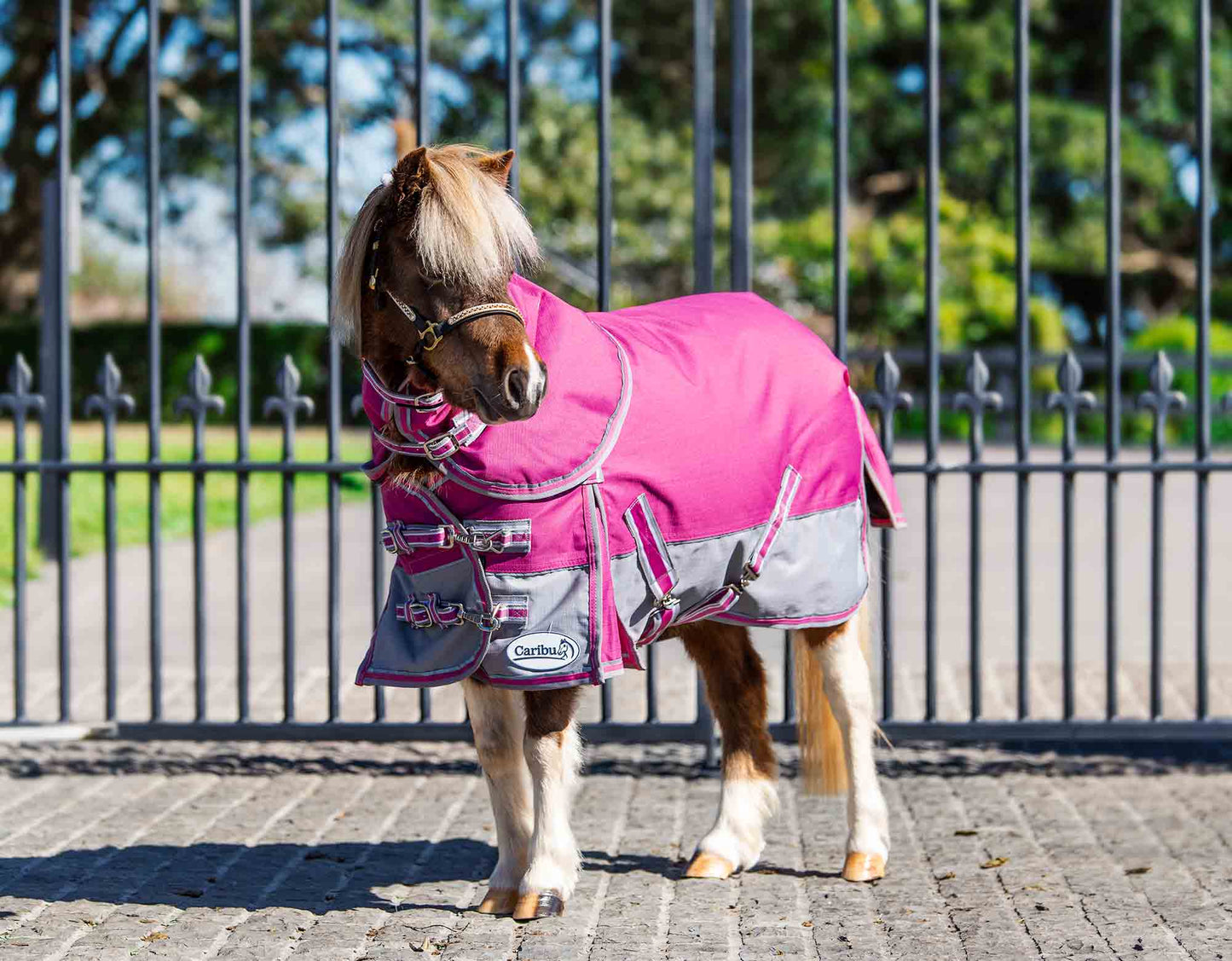 Caribu Mini Eclipse Detach-a-Neck Horse Rug