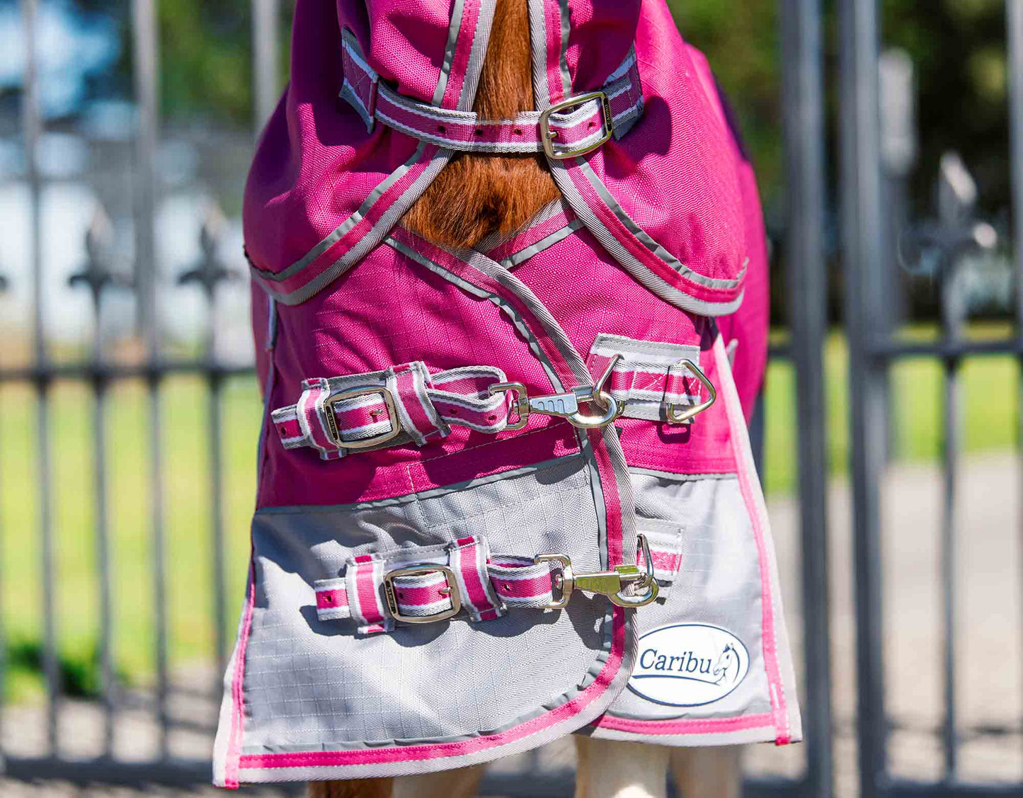 Caribu Mini Eclipse Detach-a-Neck Horse Rug