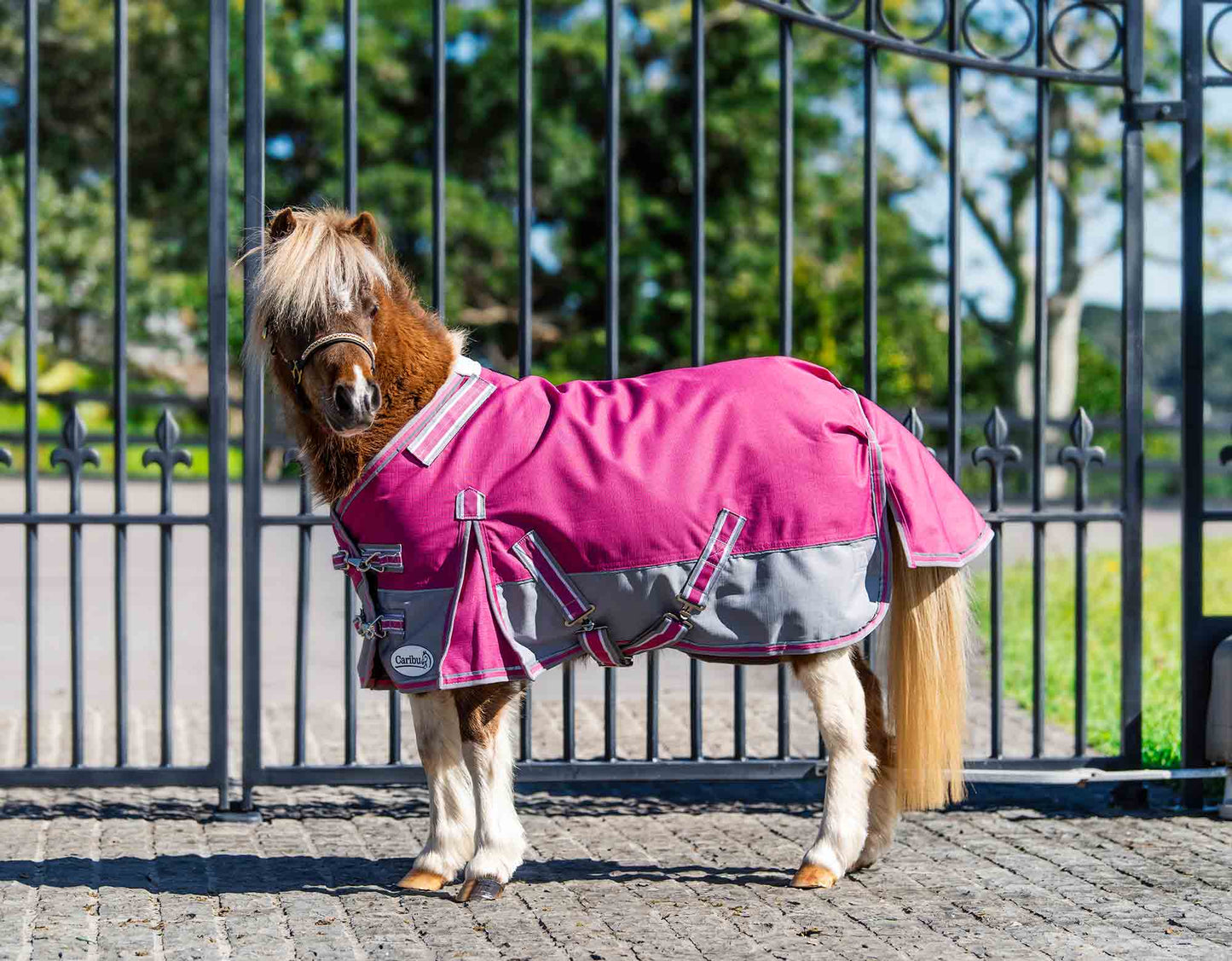 Caribu Mini Eclipse Detach-a-Neck Horse Rug