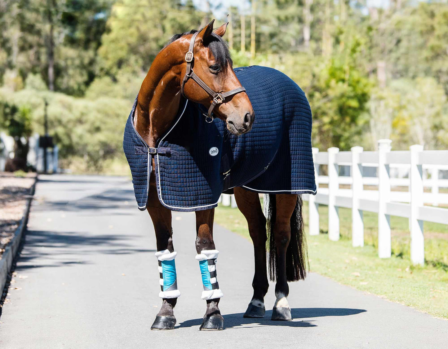 Caribu 1200D Paddock Horse Boots