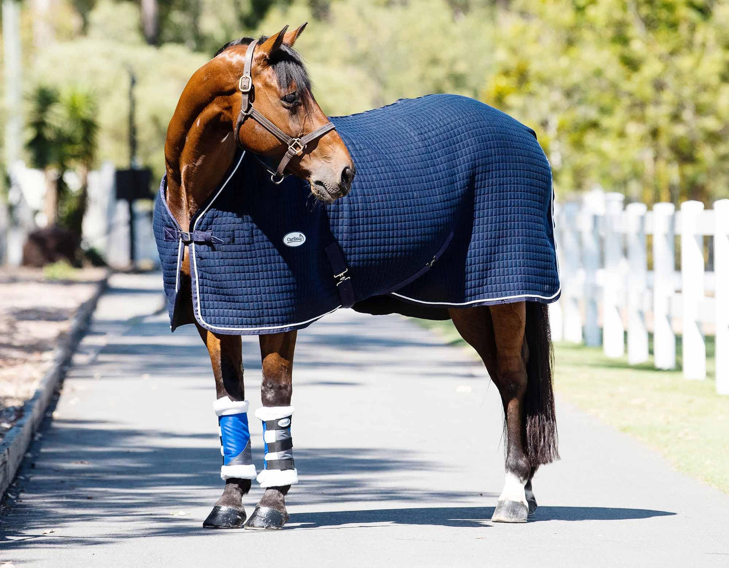 Caribu 1200D Paddock Horse Boots