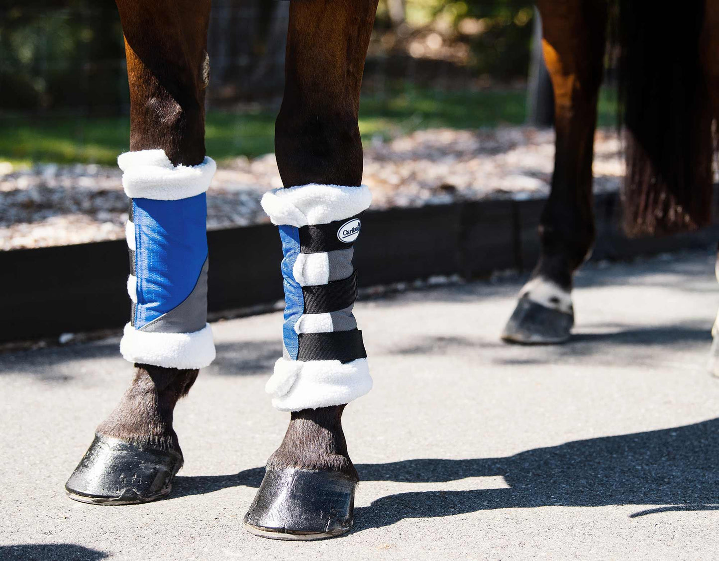 Caribu 1200D Paddock Horse Boots