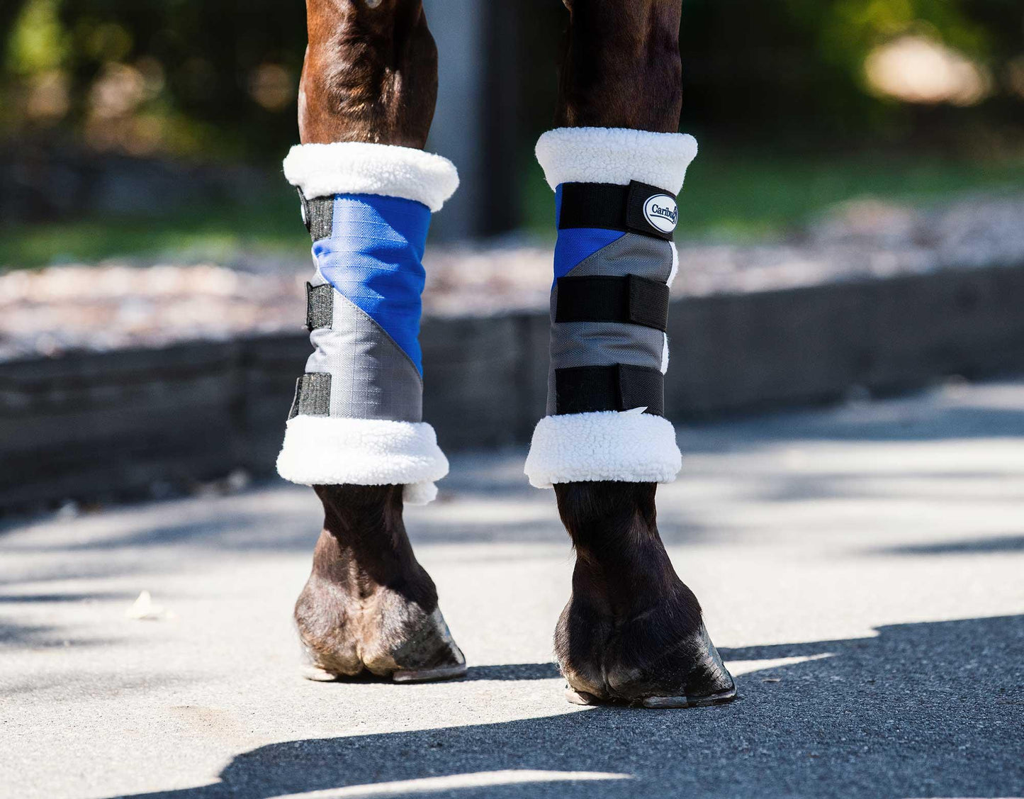 Caribu 1200D Paddock Horse Boots