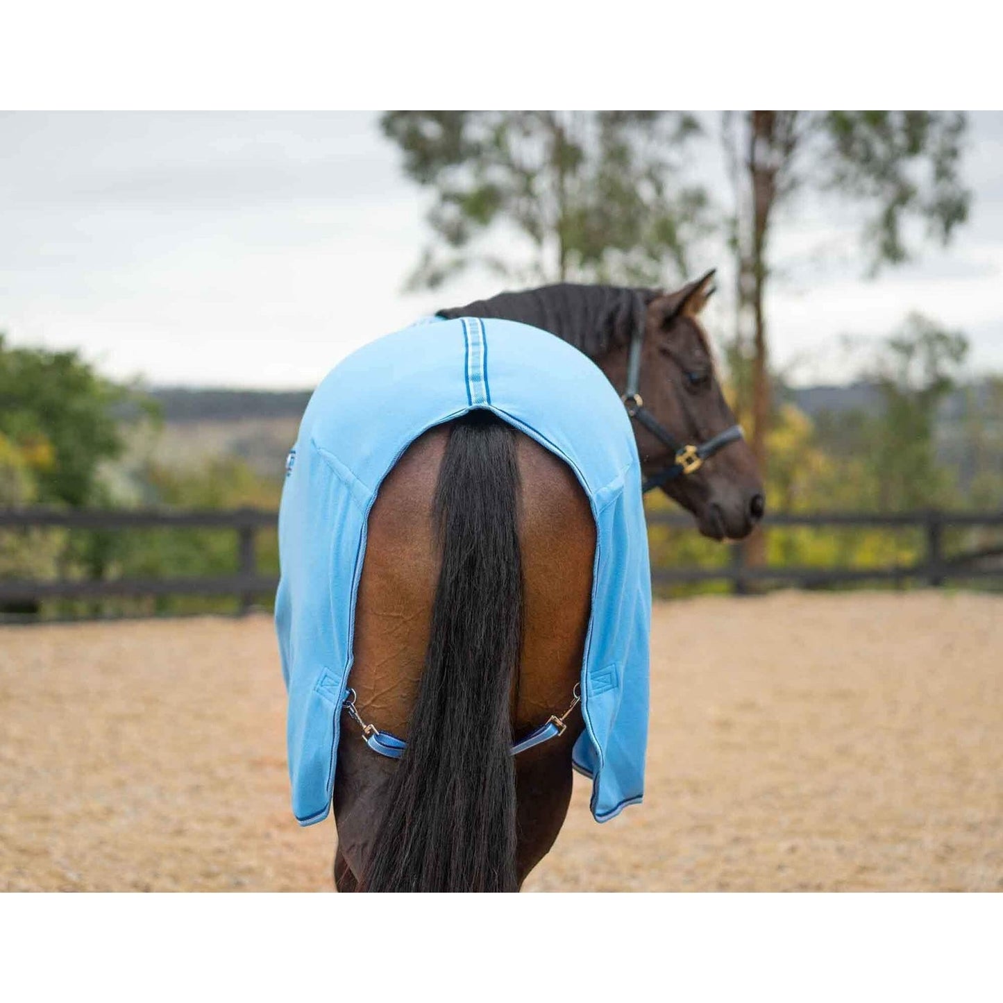Kingsley Polar Fleece Horse Rug 300gsm