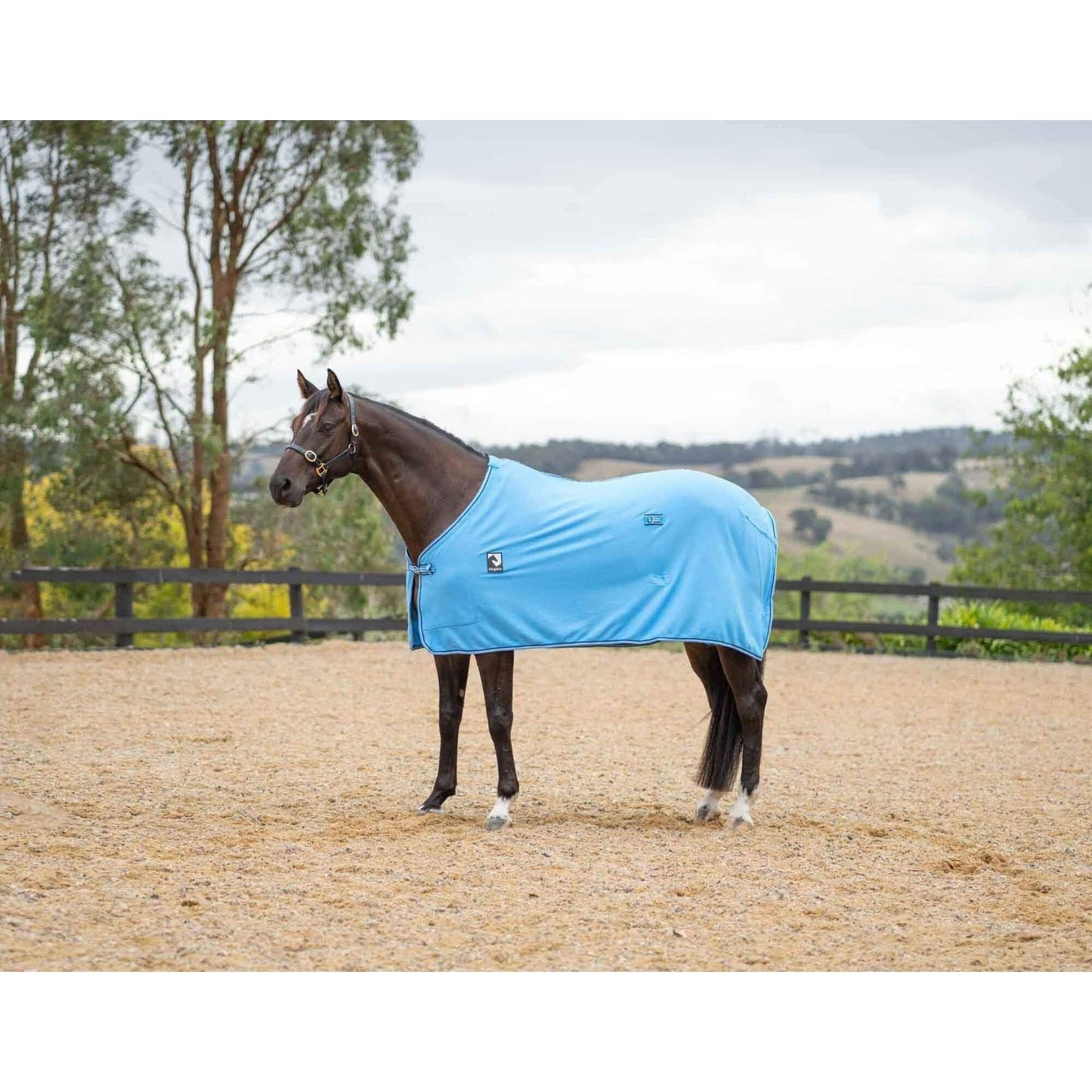 Kingsley Polar Fleece Horse Rug 300gsm