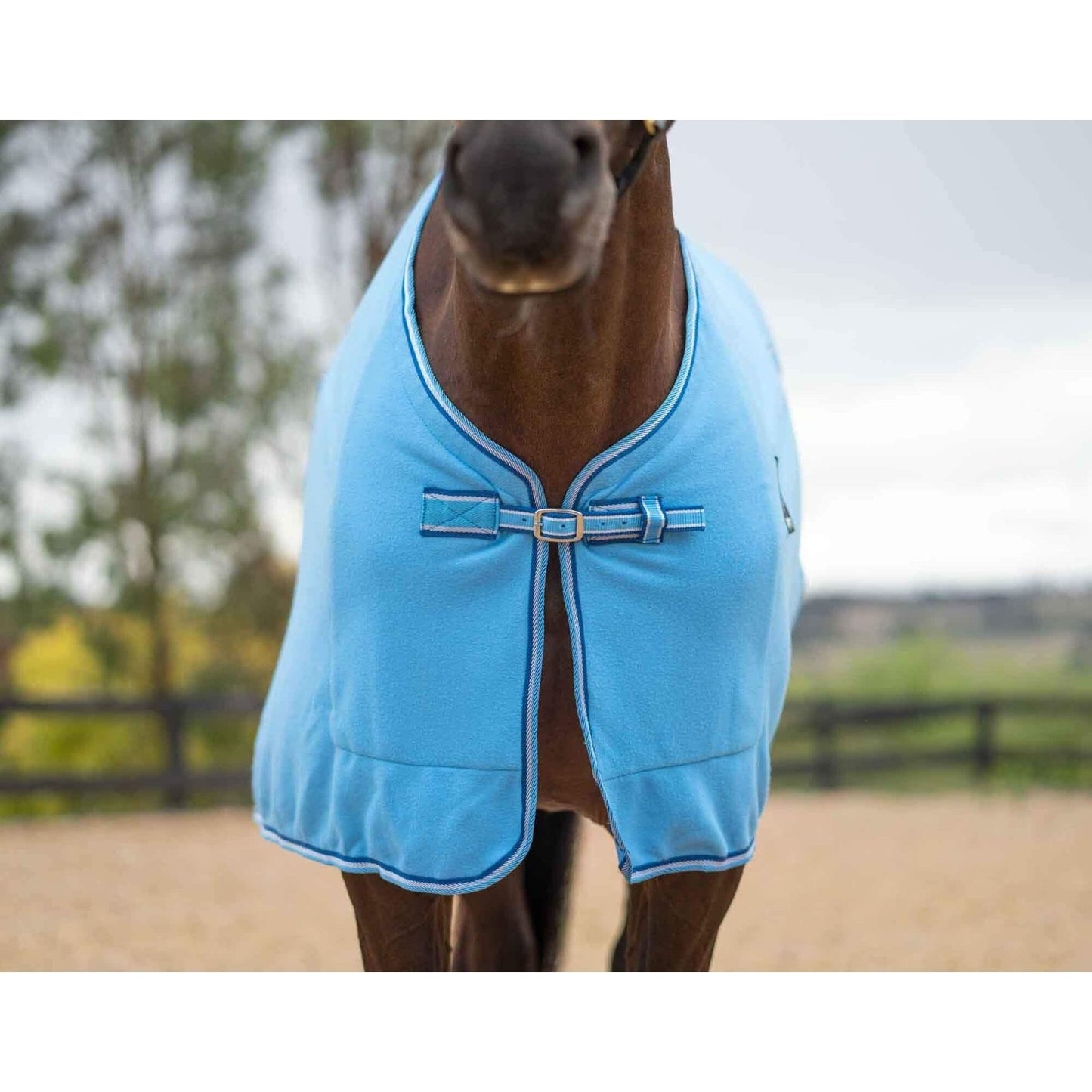 Kingsley Polar Fleece Horse Rug 300gsm