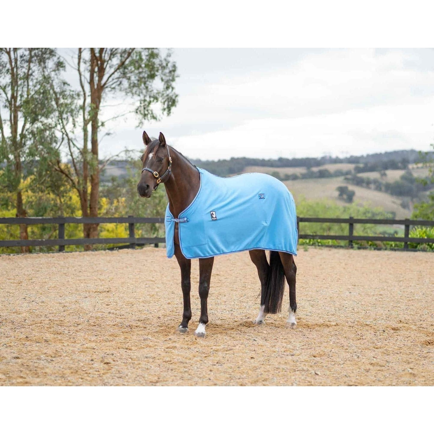 Kingsley Polar Fleece Horse Rug 300gsm
