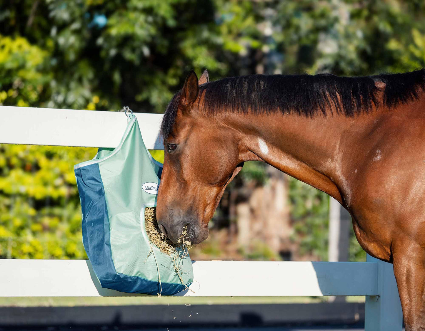 Caribu Apex Hay Bag