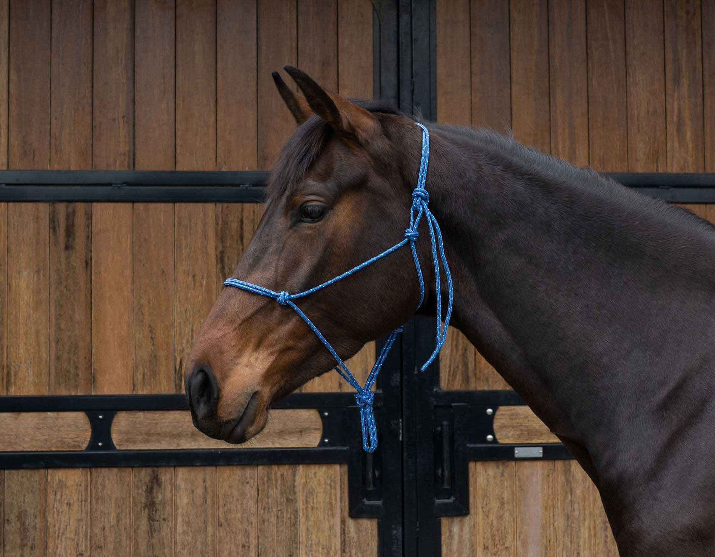 Caribu Yachting Rope Horse Halter 6mm