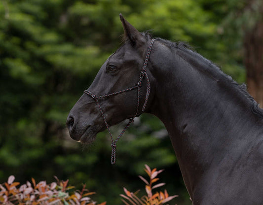 Caribu Yachting Rope Horse Halter 6mm