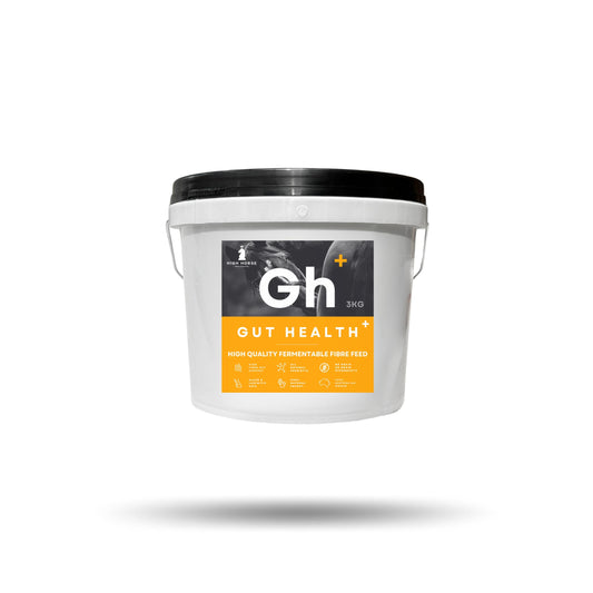 High Horse Performance Gut Health Supplement Plus