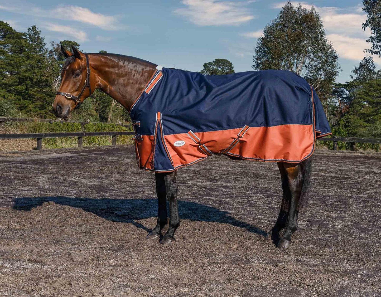 Caribu Alpine Detach-a-Neck Horse Rug 100g Navy Kumquat