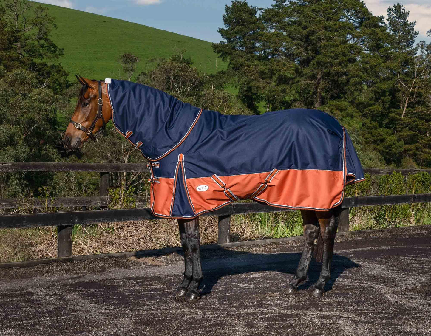 Caribu Alpine Detach-a-Neck Horse Rug 100g Navy Kumquat