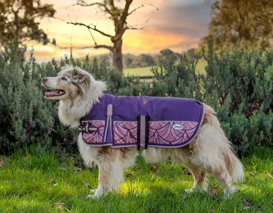 Caribu Colorado Dog Coat