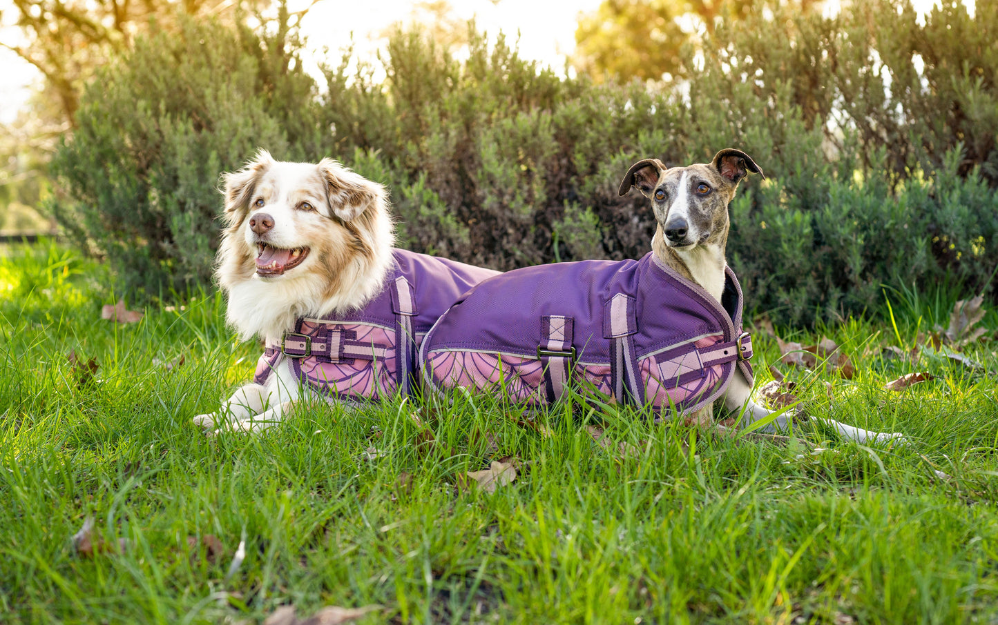 Caribu Colorado Dog Coat