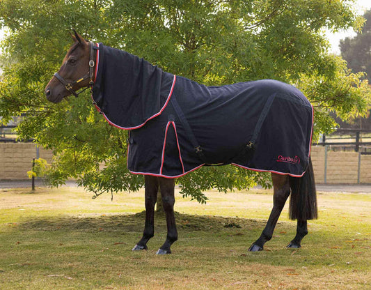 Caribu Detach-a-Neck Wool Horse Rug