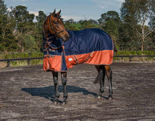 Caribu Alpine Detach-a-Neck Horse Rug 100g Navy Kumquat