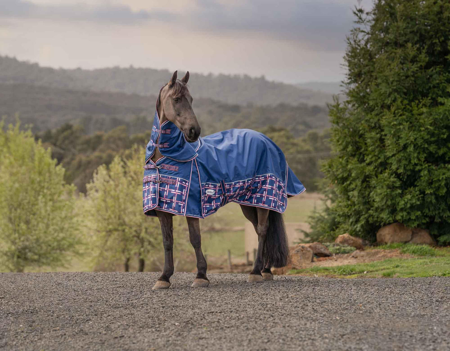 Caribu Alpine Gusset XL Detach-a-Neck Horse Rug 100g Navy Check