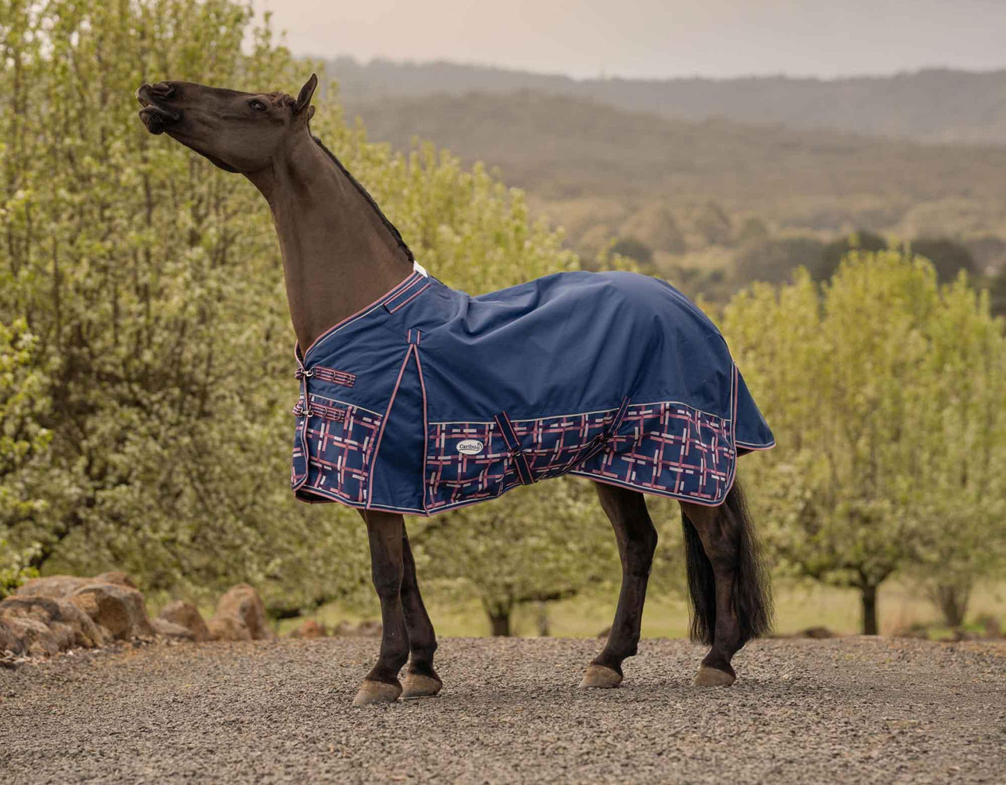 Caribu Alpine Gusset XL Detach-a-Neck Horse Rug 100g Navy Check