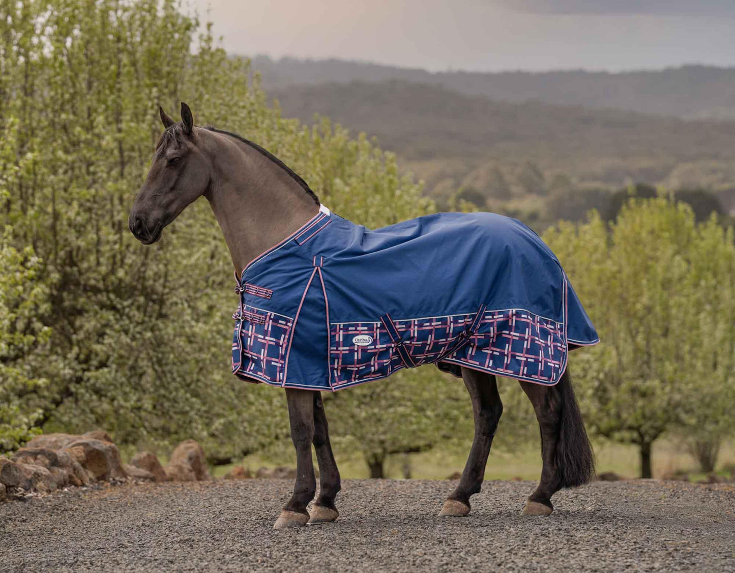 Caribu Alpine Gusset XL Detach-a-Neck Horse Rug 100g Navy Check