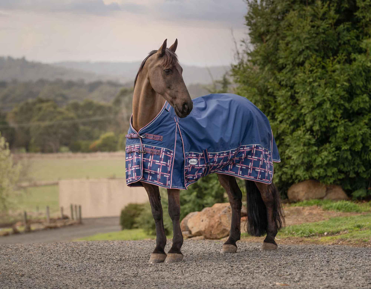 Caribu Alpine Gusset XL Detach-a-Neck Horse Rug 100g Navy Check
