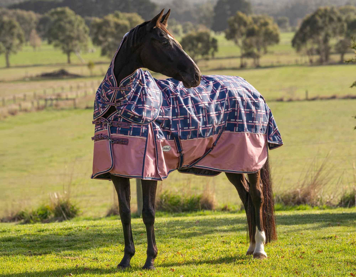 Caribu Alpine Detach-a-Neck Horse Rug 100g Rose Check
