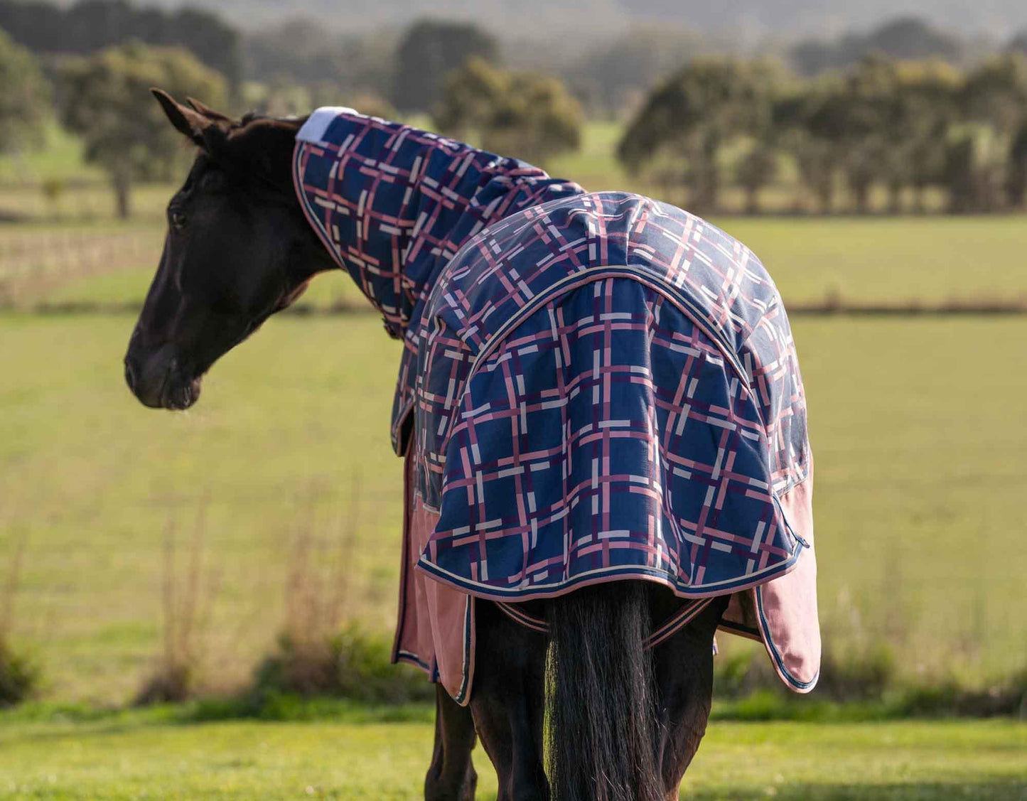 Caribu Alpine Detach-a-Neck Horse Rug 100g Rose Check
