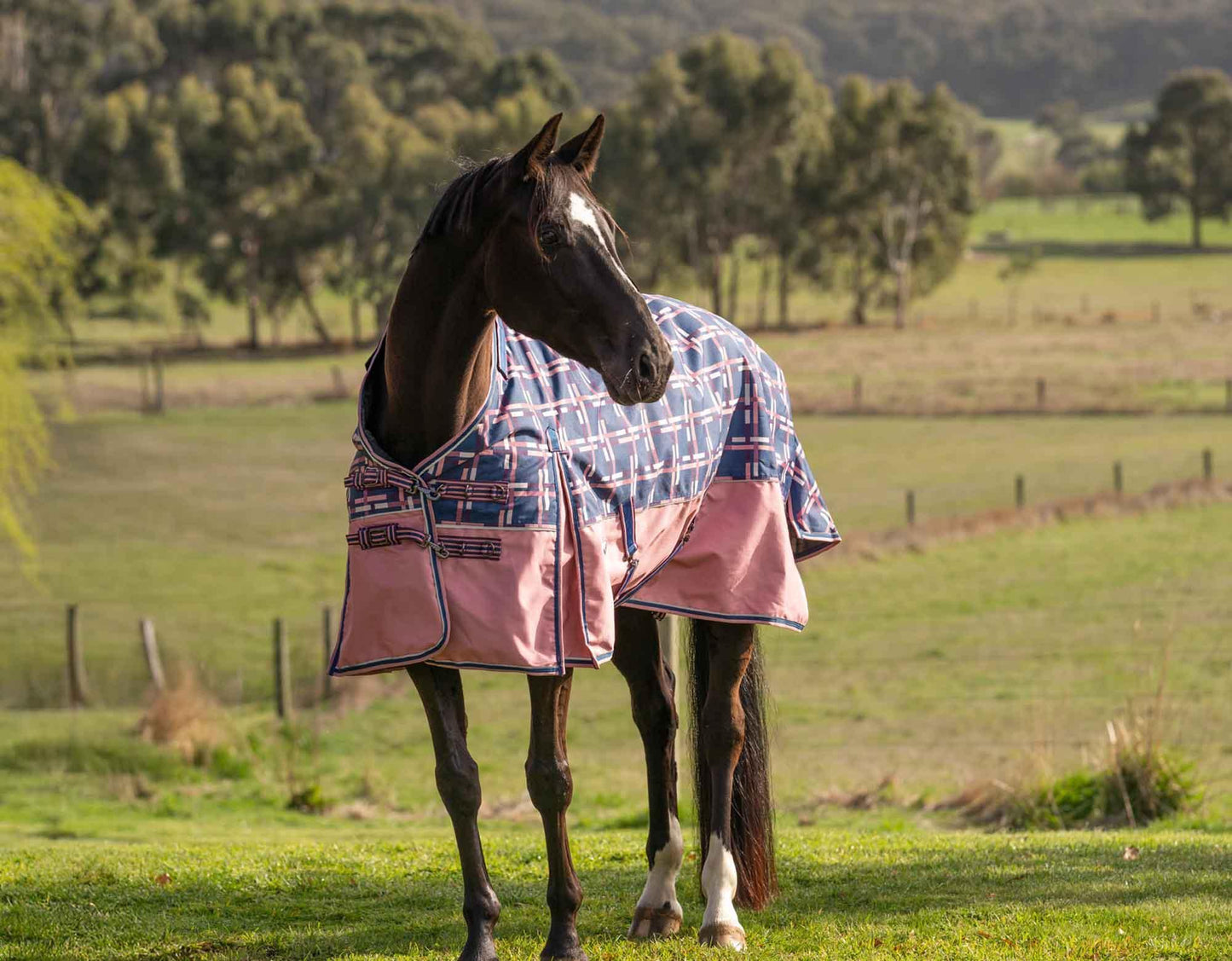 Caribu Alpine Detach-a-Neck Horse Rug 100g Rose Check