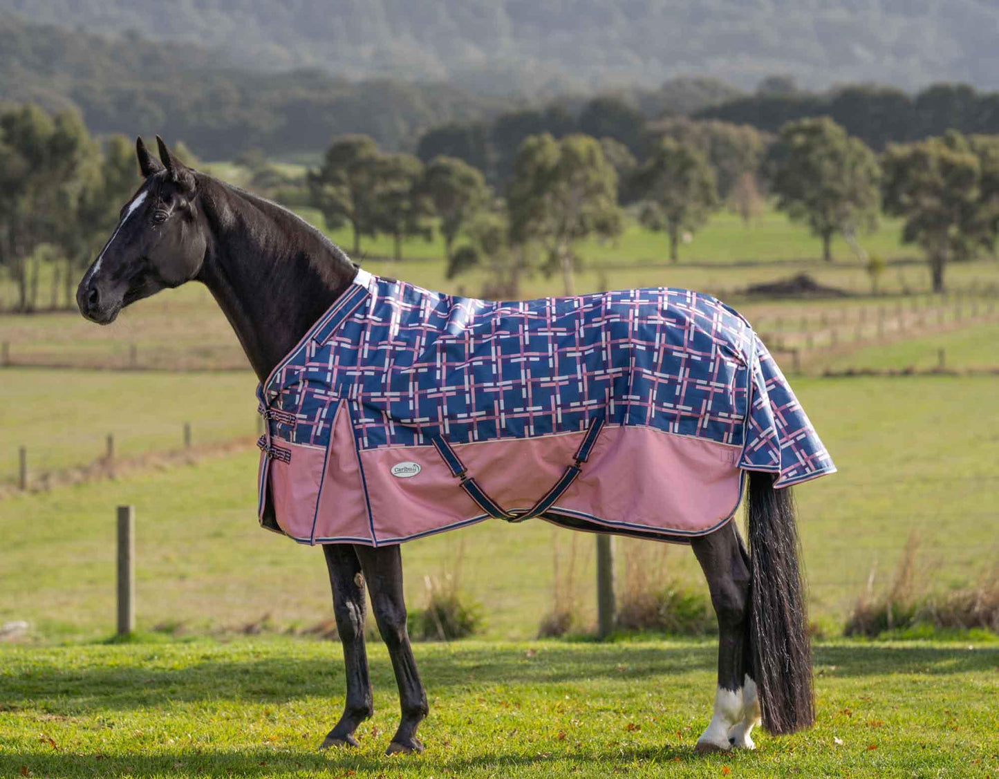 Caribu Alpine Detach-a-Neck Horse Rug 100g Rose Check