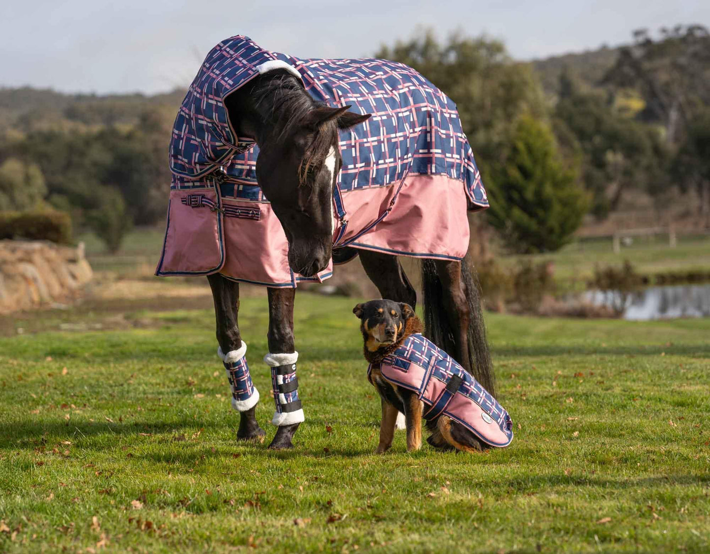 Caribu Alpine Detach-a-Neck Horse Rug 100g Rose Check